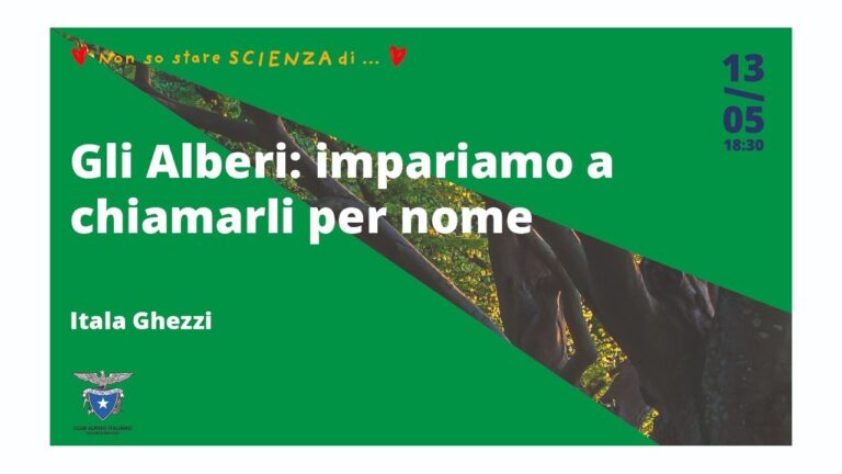 Scopri i nomi italiani delle foglie degli alberi: un viaggio nella natura!